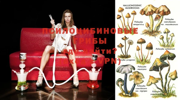 гидропоника Абдулино
