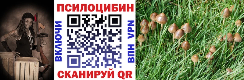 Галлюциногенные грибы прущие грибы  Стерлитамак 
